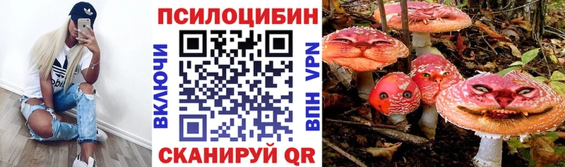 omg ссылки  купить наркотики цена  Темников  Галлюциногенные грибы ЛСД 